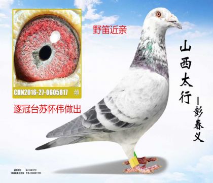 ���̨�ջ�ΰ����Ұ�ѽ���