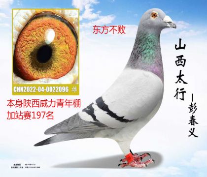 ���������������վ��197����������