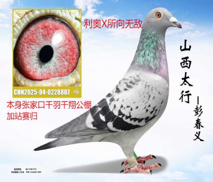 �żҿ�ǧ��ǧ���վ��������X�����޵�