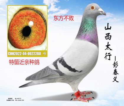 �������ܽ���