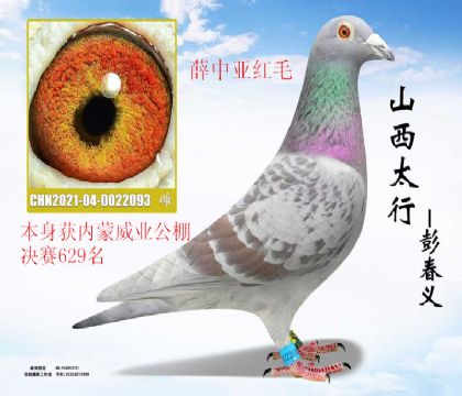 ������ҵ�������629��Ѧ���Ǻ�ë