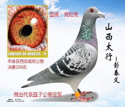 �����������106��������