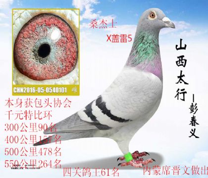 ϯ����������ͷǧԪ�رȸ���61������5Xɣ��ʿ