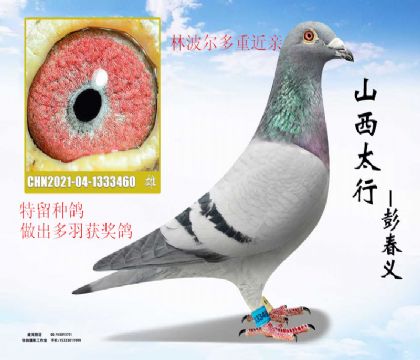 �����ָ��ֲ�������