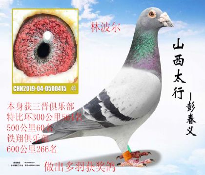 �������ֲ��رȻ�60���ֲ���