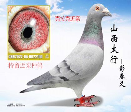 �����˽��������ָ�