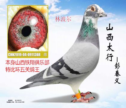 ������ֲ���ظ����ֲ���