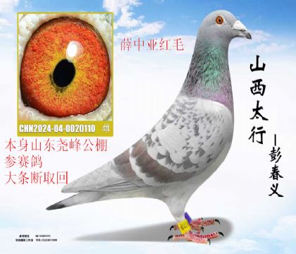 ɽ��Ң�幫���˷Ѹ�Ѧ���Ǻ�ë