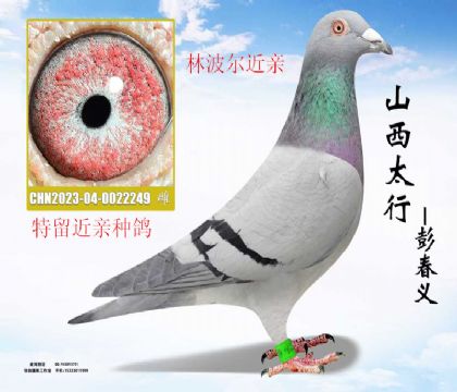 �����ָ��ֲ�������