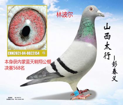 �������찿�蹫�����568���ֲ���