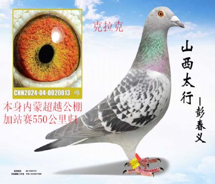 ���ɳ�Խ550�����վ���������