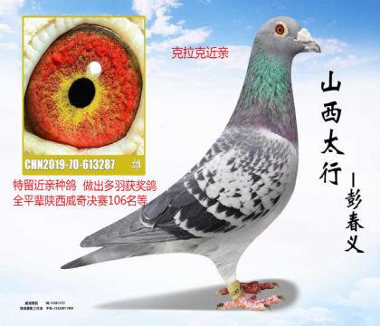 �����ָ�����˽���