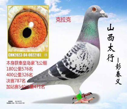 �ػʵ����ɾ���787��������