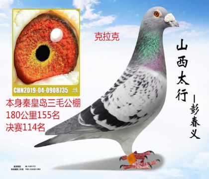 �ػʵ���ë�������114��������