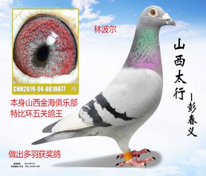 �𺣾��ֲ���ظ����ֲ���