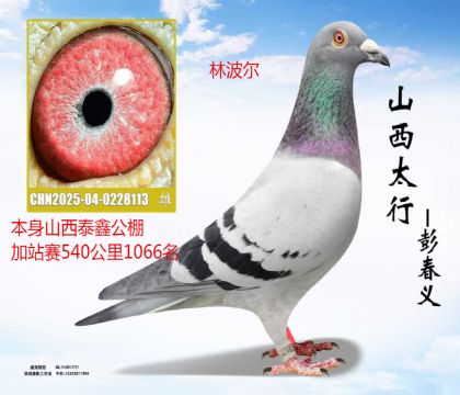 ɽ��̩�ι����վ��540������ֲ���