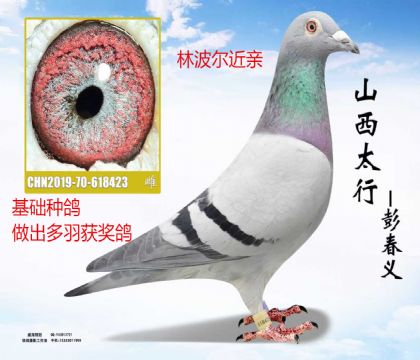 �ֲ������ؽ���