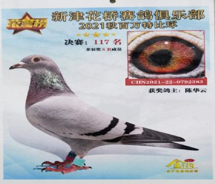 ��Ѫ�Ǳȣ��������ñ��棬����3500����