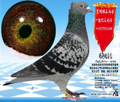 ������