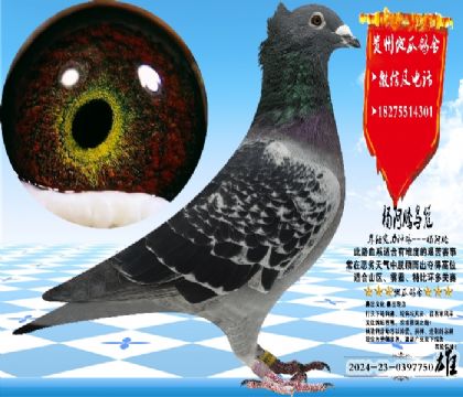 ������