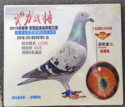 ������1300��500��������ر�63��