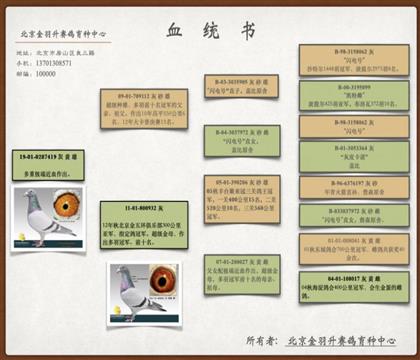 ���HѪ�y(t��ng)��