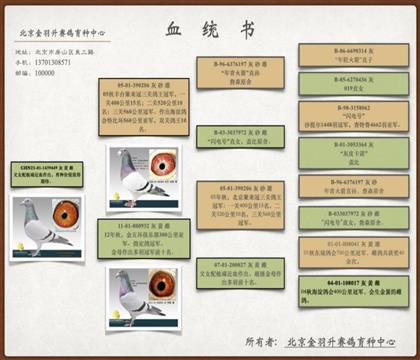 ĸ�HѪ�y(t��ng)��