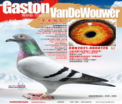 ����240��Ѫ100̖