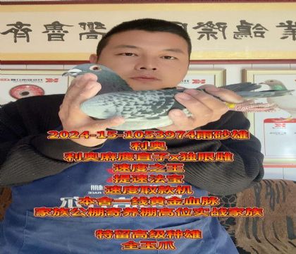 ���ٷ��������W����x��(d��)�۴���¡�����]�N��