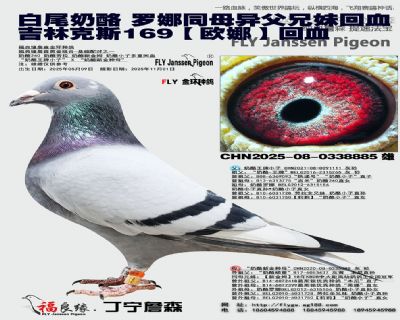 ��β���� �����_�� ͬĸ�������û�Ѫ