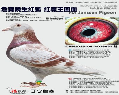 ղɭ�����t�� �tħ����Ѫ