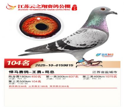 ���K��֮��Qِ104��