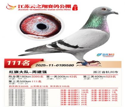 ���K��֮��Qِ111��