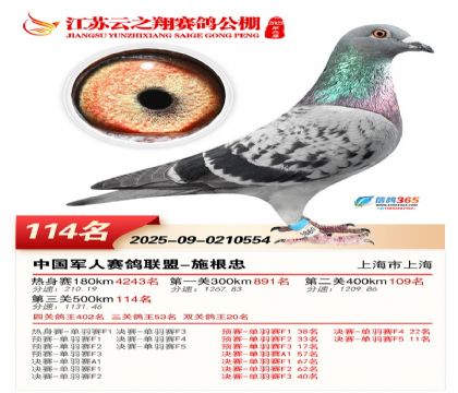 ���K��֮��Qِ114��