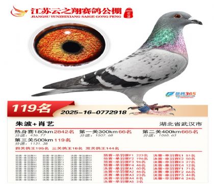 ���K��֮��Qِ119��