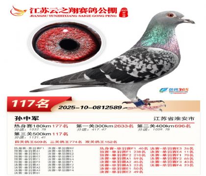 ���K��֮��Qِ117��