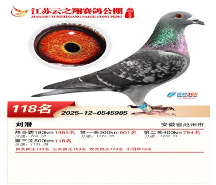 ���K��֮��Qِ118��