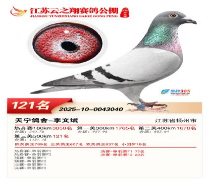 ���K��֮��Qِ121��