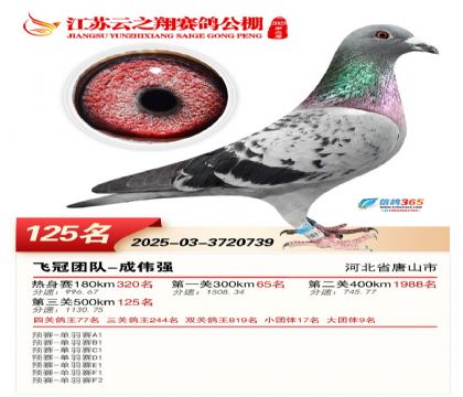 ���K��֮��Qِ125��