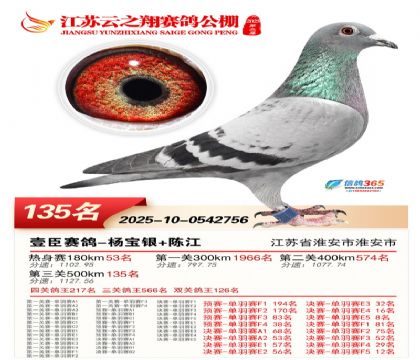 ���K��֮��Qِ135��