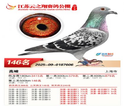 ���K��֮��Qِ146��