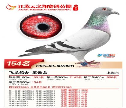 ���K��֮��Qِ154��