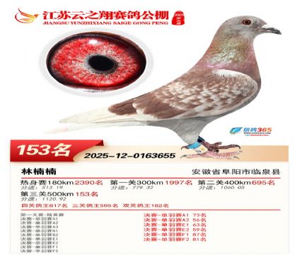 ���K��֮��Qِ153��