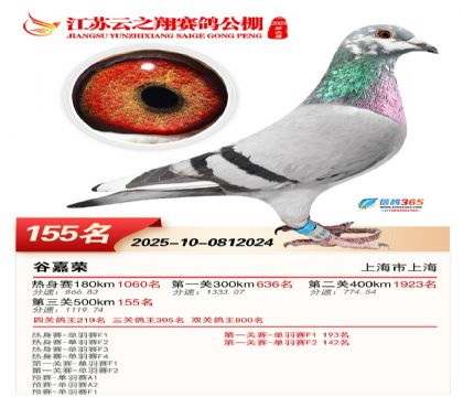 ���K��֮��Qِ155��