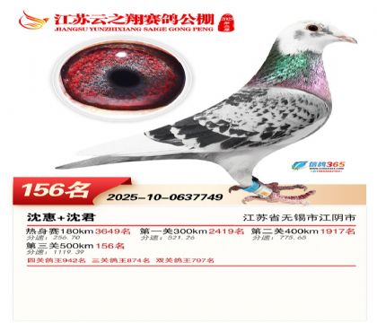 ���K��֮��Qِ156��