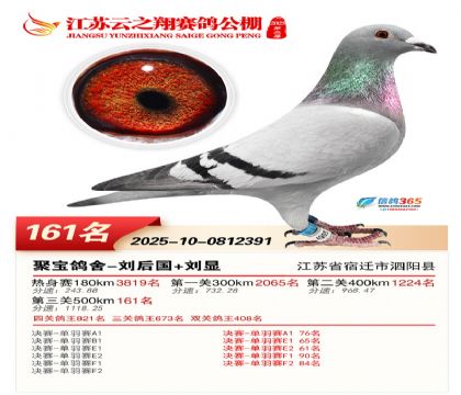 ���K��֮��Qِ161��