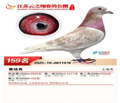 ���K��֮��Qِ159��