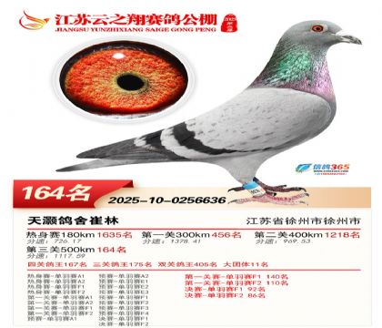 ���K��֮��Qِ164��