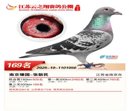 ���K��֮��Qِ169��