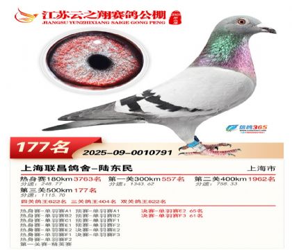 ���K��֮��Qِ177��